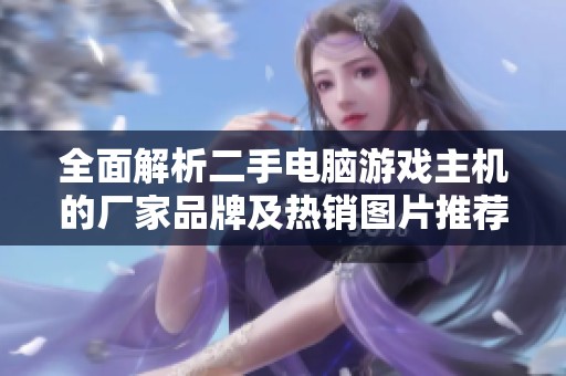 全面解析二手电脑游戏主机的厂家品牌及热销图片推荐