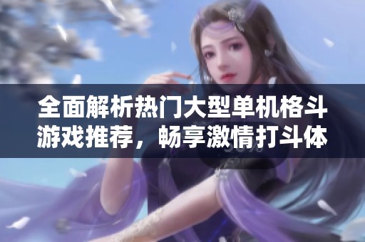 全面解析热门大型单机格斗游戏推荐，畅享激情打斗体验