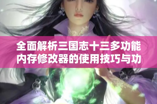 全面解析三国志十三多功能内存修改器的使用技巧与功能介绍