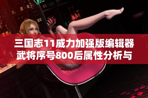 三国志11威力加强版编辑器武将序号800后属性分析与推荐攻略