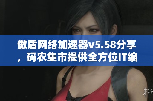 傲盾网络加速器v5.58分享，码农集市提供全方位IT编程学习资源