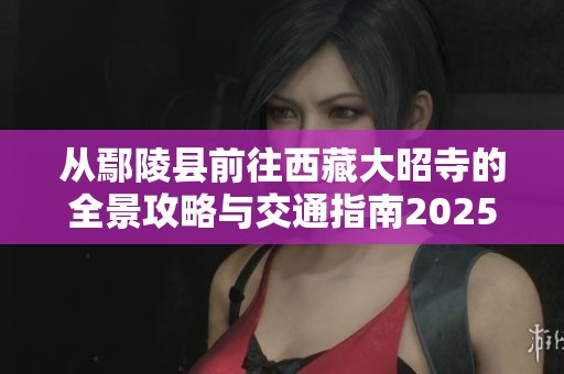从鄢陵县前往西藏大昭寺的全景攻略与交通指南2025年