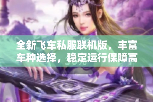 全新飞车私服联机版，丰富车种选择，稳定运行保障高爆率体验