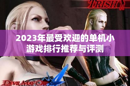 2023年最受欢迎的单机小游戏排行推荐与评测