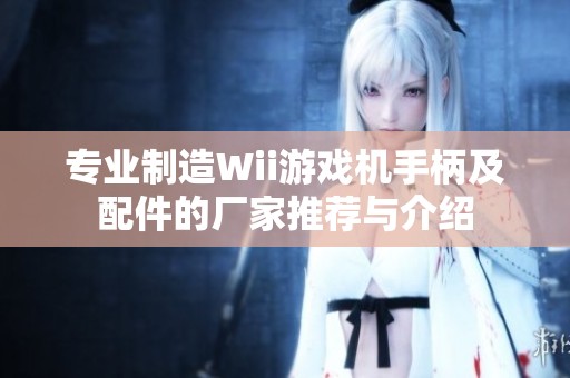 专业制造Wii游戏机手柄及配件的厂家推荐与介绍