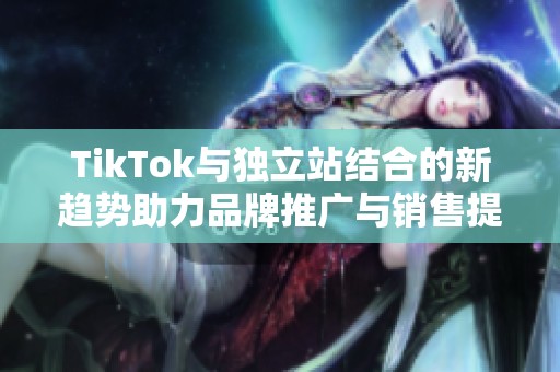TikTok与独立站结合的新趋势助力品牌推广与销售提升