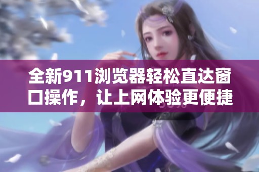 全新911浏览器轻松直达窗口操作，让上网体验更便捷