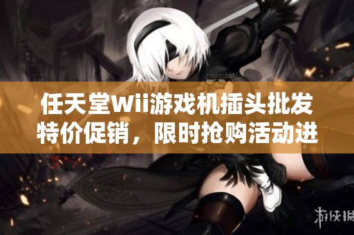 任天堂Wii游戏机插头批发特价促销，限时抢购活动进行中