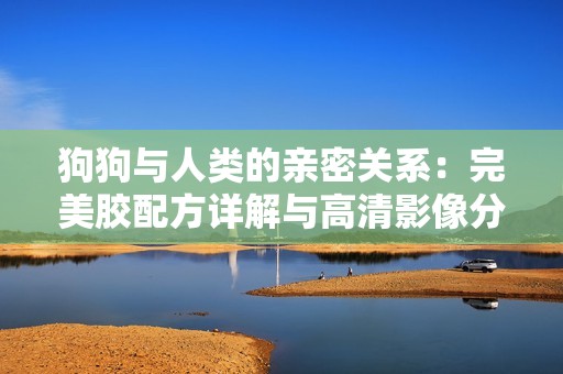 狗狗与人类的亲密关系：完美胶配方详解与高清影像分享