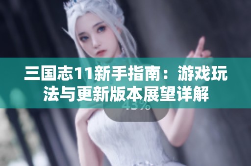 三国志11新手指南：游戏玩法与更新版本展望详解