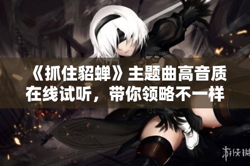《抓住貂蝉》主题曲高音质在线试听，带你领略不一样的音乐魅力