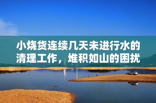 小烧货连续几天未进行水的清理工作，堆积如山的困扰寻求解决方案