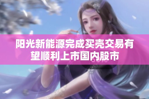 阳光新能源完成买壳交易有望顺利上市国内股市