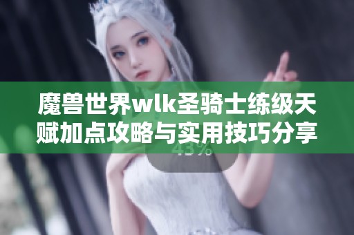 魔兽世界wlk圣骑士练级天赋加点攻略与实用技巧分享