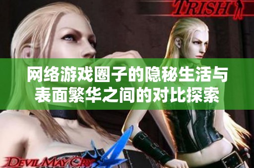 网络游戏圈子的隐秘生活与表面繁华之间的对比探索
