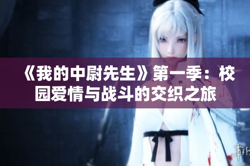 《我的中尉先生》第一季：校园爱情与战斗的交织之旅