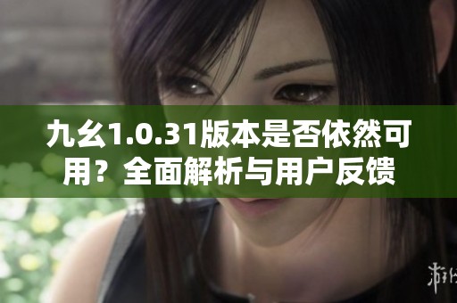 九幺1.0.31版本是否依然可用？全面解析与用户反馈