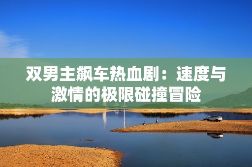 双男主飙车热血剧：速度与激情的极限碰撞冒险