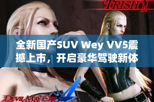 全新国产SUV Wey VV5震撼上市，开启豪华驾驶新体验