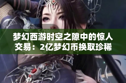 梦幻西游时空之隙中的惊人交易：2亿梦幻币换取珍稀宝石袋探秘