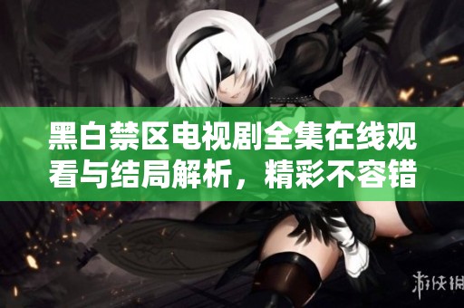 黑白禁区电视剧全集在线观看与结局解析，精彩不容错过