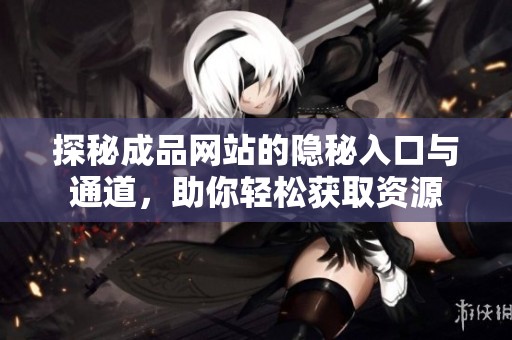 探秘成品网站的隐秘入口与通道，助你轻松获取资源