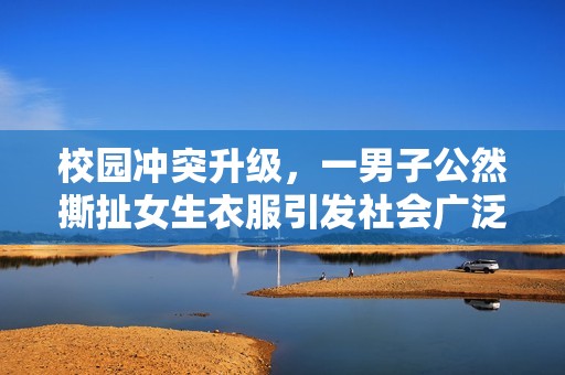 校园冲突升级，一男子公然撕扯女生衣服引发社会广泛关注