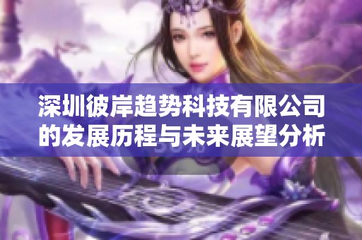 深圳彼岸趋势科技有限公司的发展历程与未来展望分析报告