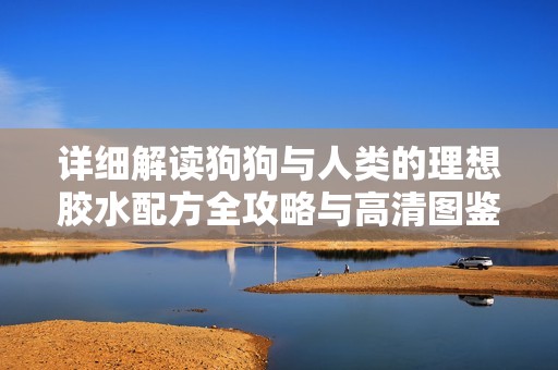 详细解读狗狗与人类的理想胶水配方全攻略与高清图鉴