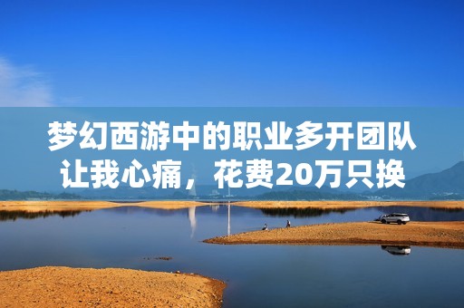 梦幻西游中的职业多开团队让我心痛，花费20万只换41环的辛酸经历