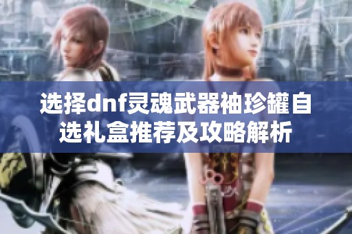选择dnf灵魂武器袖珍罐自选礼盒推荐及攻略解析