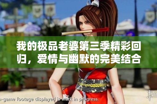 我的极品老婆第三季精彩回归，爱情与幽默的完美结合