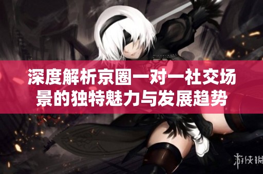 深度解析京圈一对一社交场景的独特魅力与发展趋势