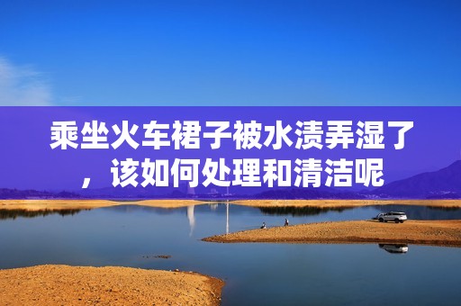 乘坐火车裙子被水渍弄湿了，该如何处理和清洁呢