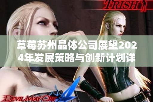 草莓苏州晶体公司展望2024年发展策略与创新计划详解