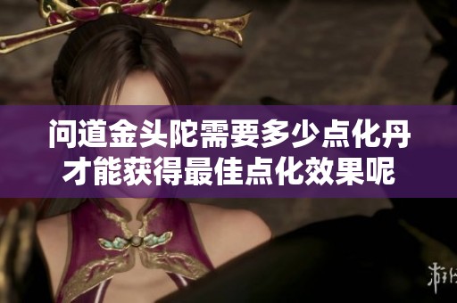 问道金头陀需要多少点化丹才能获得最佳点化效果呢