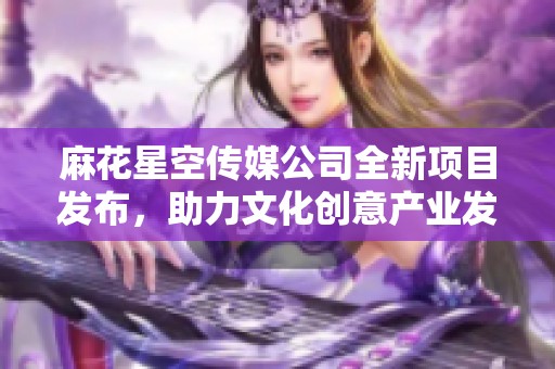麻花星空传媒公司全新项目发布，助力文化创意产业发展