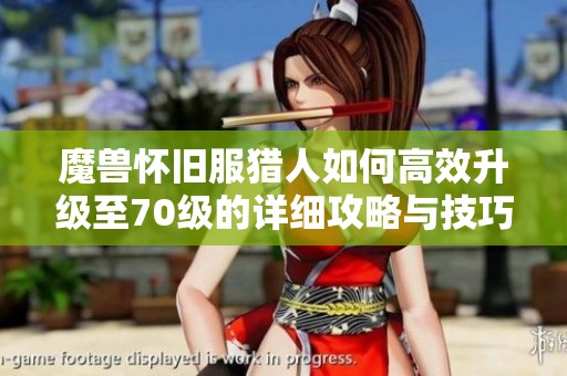 魔兽怀旧服猎人如何高效升级至70级的详细攻略与技巧解析
