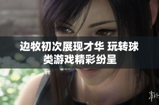 边牧初次展现才华 玩转球类游戏精彩纷呈