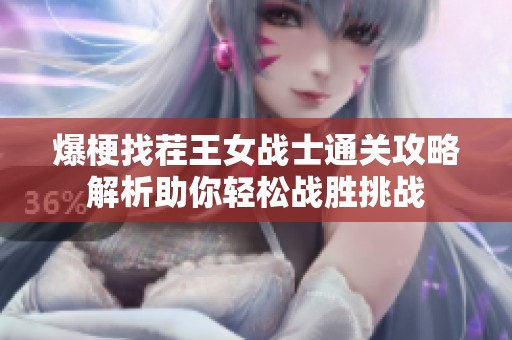 爆梗找茬王女战士通关攻略解析助你轻松战胜挑战