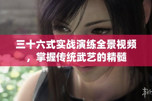 三十六式实战演练全景视频，掌握传统武艺的精髓