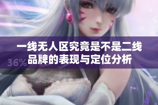 一线无人区究竟是不是二线品牌的表现与定位分析