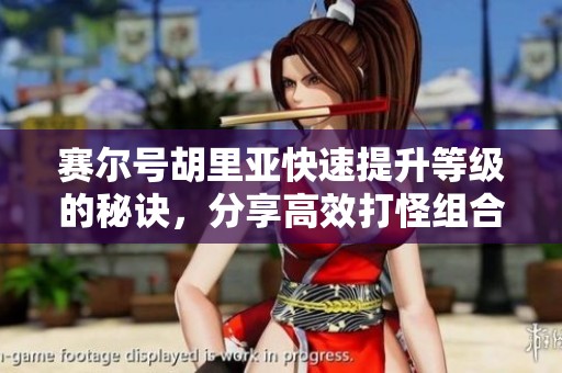 赛尔号胡里亚快速提升等级的秘诀，分享高效打怪组合技巧