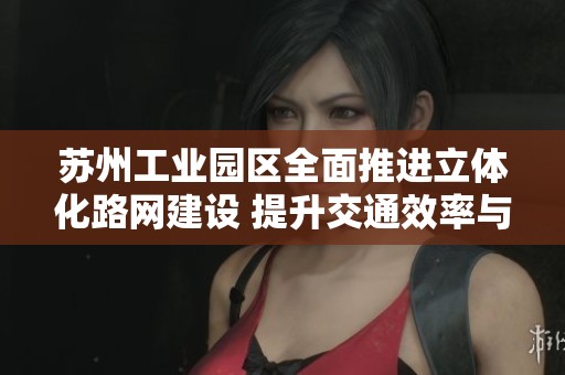 苏州工业园区全面推进立体化路网建设 提升交通效率与城市发展