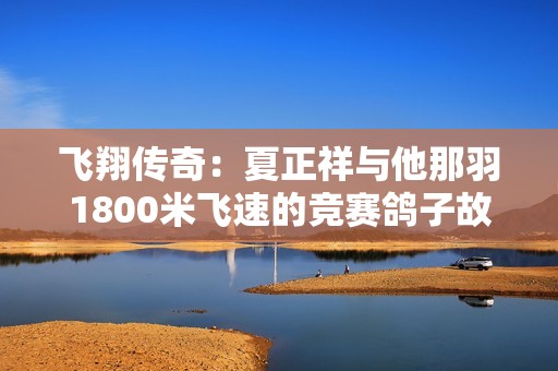 飞翔传奇：夏正祥与他那羽1800米飞速的竞赛鸽子故事