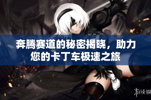 奔腾赛道的秘密揭晓，助力您的卡丁车极速之旅