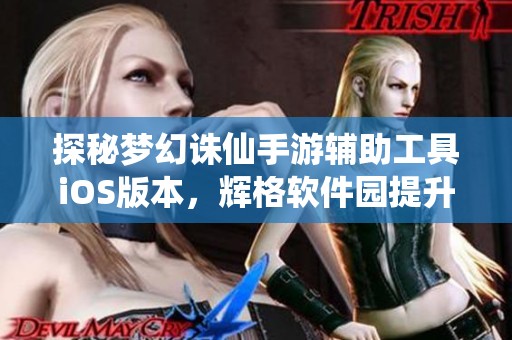探秘梦幻诛仙手游辅助工具iOS版本，辉格软件园提升你的游戏乐趣