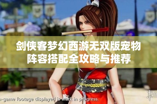 剑侠客梦幻西游无双版宠物阵容搭配全攻略与推荐