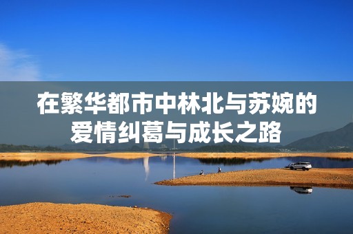 在繁华都市中林北与苏婉的爱情纠葛与成长之路