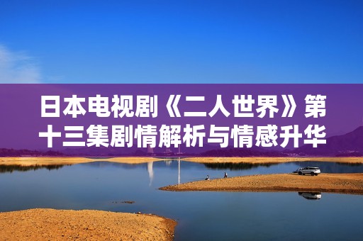 日本电视剧《二人世界》第十三集剧情解析与情感升华探讨